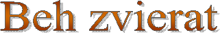 Beh zvierat