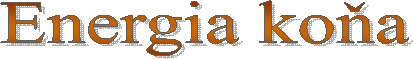 Energia ko�a
