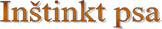 In�tinkt psa
