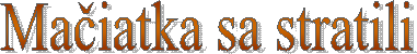 Mačiatka sa stratili