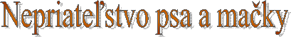 Nepriate�stvo psa a ma�ky