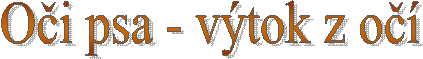  O�i psa - v�tok z o��