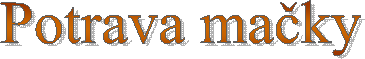 Potrava ma�ky