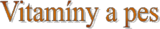 Vitamíny a pes